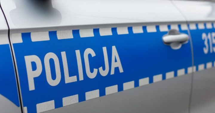 dzia--ania-policjant--w-na-terenie-powiatu-wo--omi-auto-6105